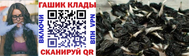 ГАШ гарик  купить закладку  ссылка на мегу как зайти  Нолинск 