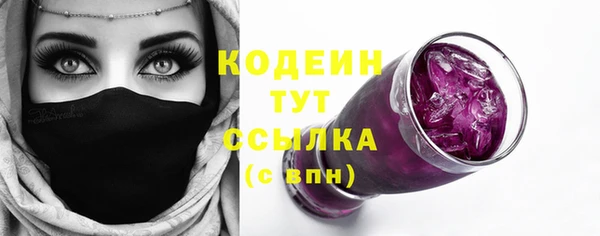 бошки Бородино