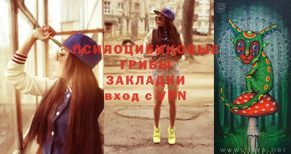 дурь Бронницы