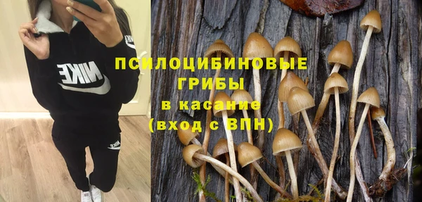 spice Бугульма