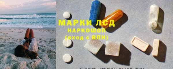 бошки Бородино