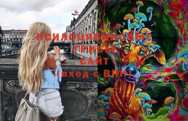 spice Бугульма