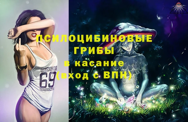дурь Бронницы