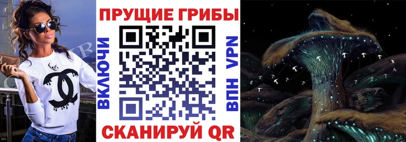 Галлюциногенные грибы Cubensis  OMG онион  Нолинск 